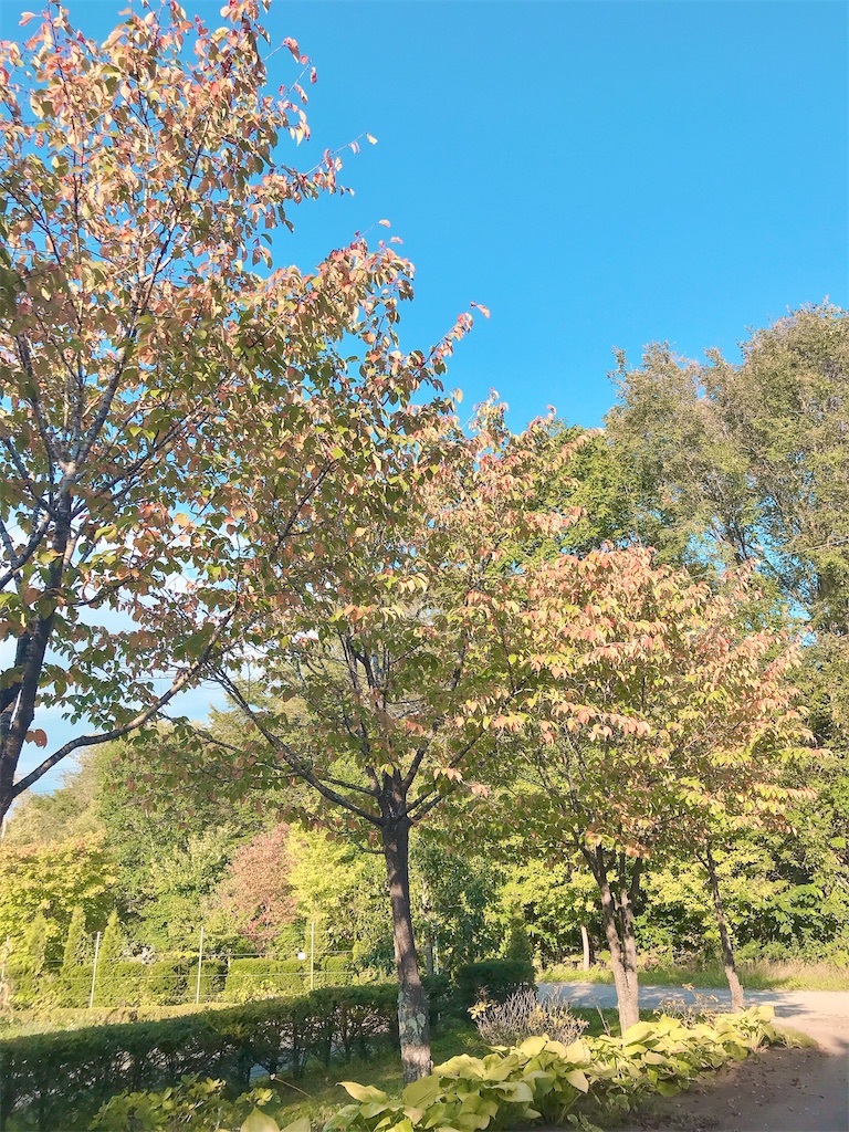 瞑想　潜在意識　波動　上げる　効果