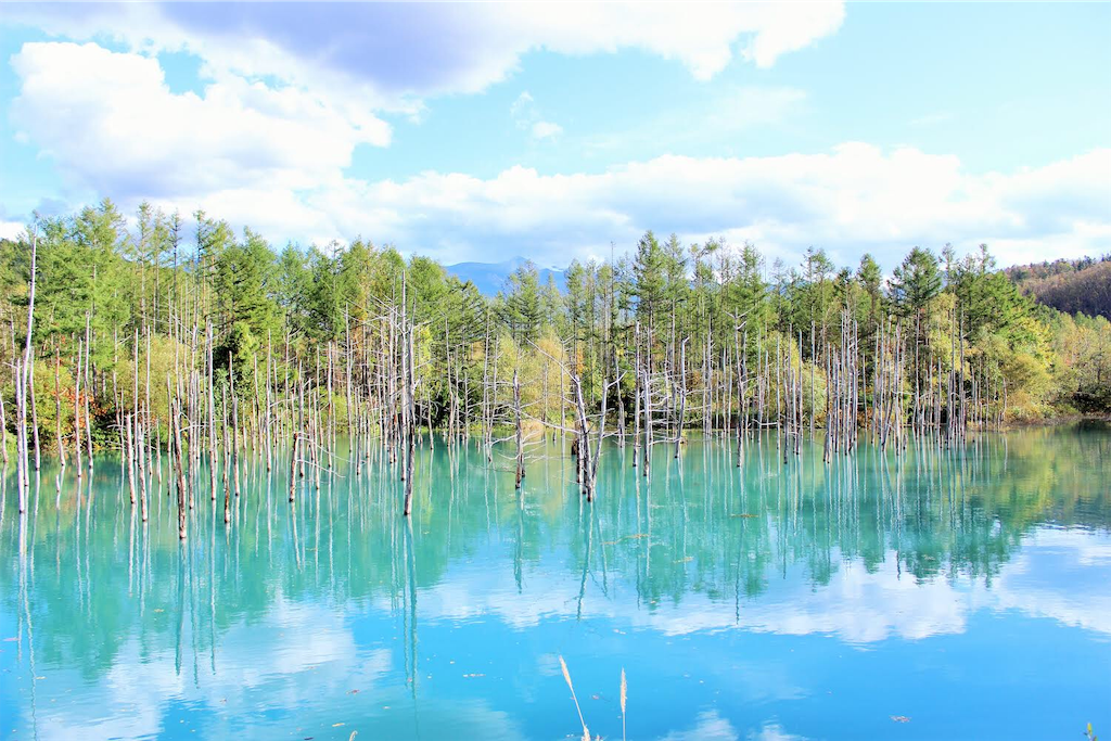 瞑想　潜在意識　波動　上げる　効果