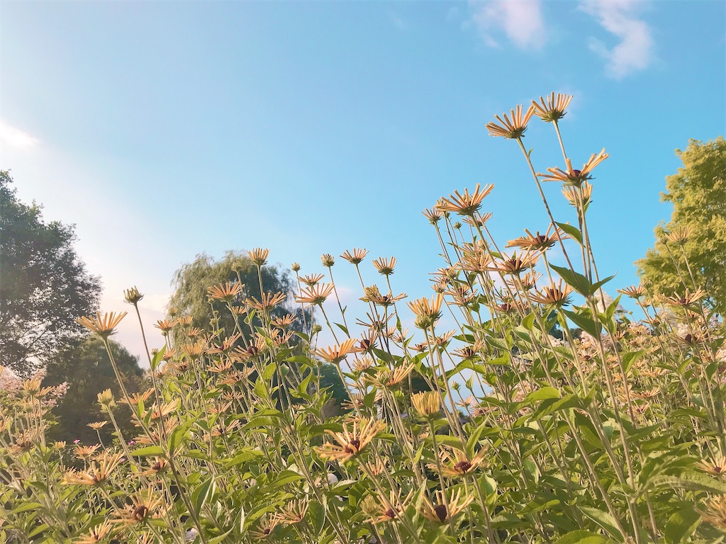 瞑想 潜在意識 豊かさ 効果 波動