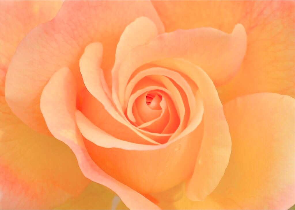 f:id:yuko-k-ami:20210925175141j:image f:id:yuko-k-ami:20210925175141j:image