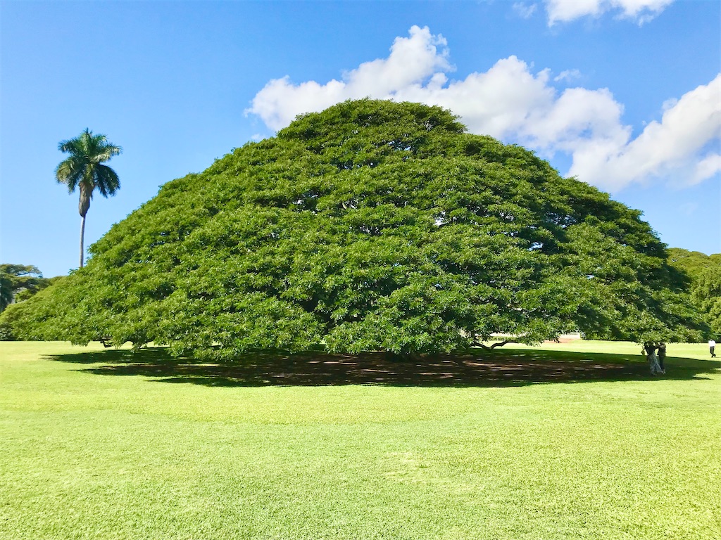 瞑想　潜在意識　波動　上げる　効果