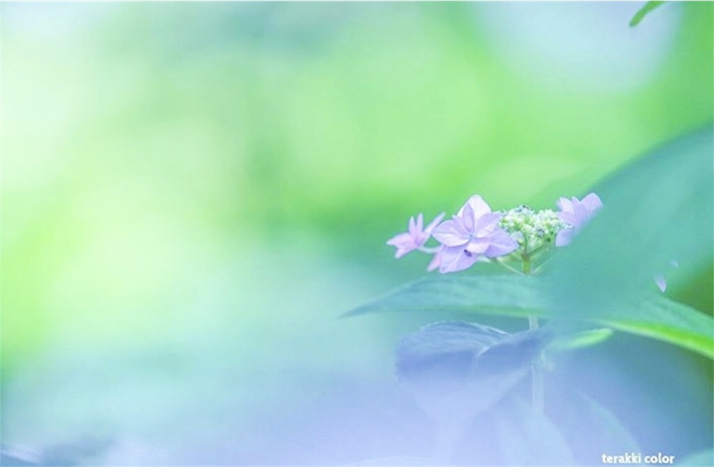 瞑想　潜在意識　波動　上げる　効果
