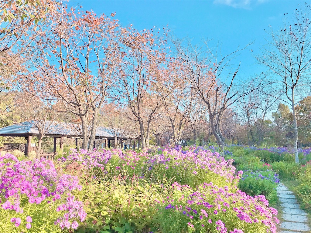 住みたい街で暮らす　シンプルライフ　やりたいこと　自由に生きる