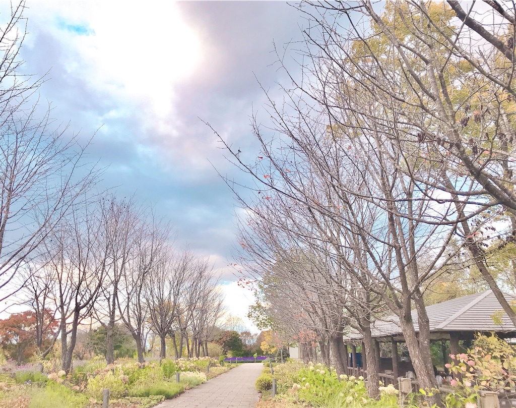 北海道暮らし　シンプルライフ