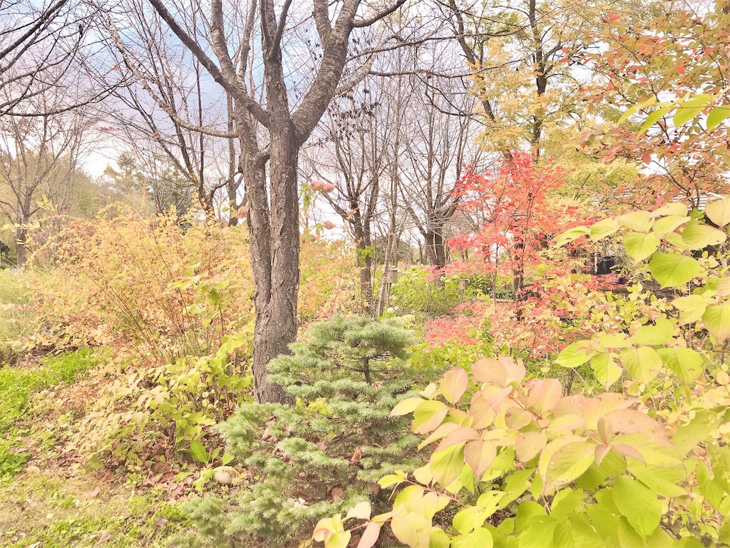 住みたい街で暮らす　シンプルライフ　やりたいこと　自由に生きる