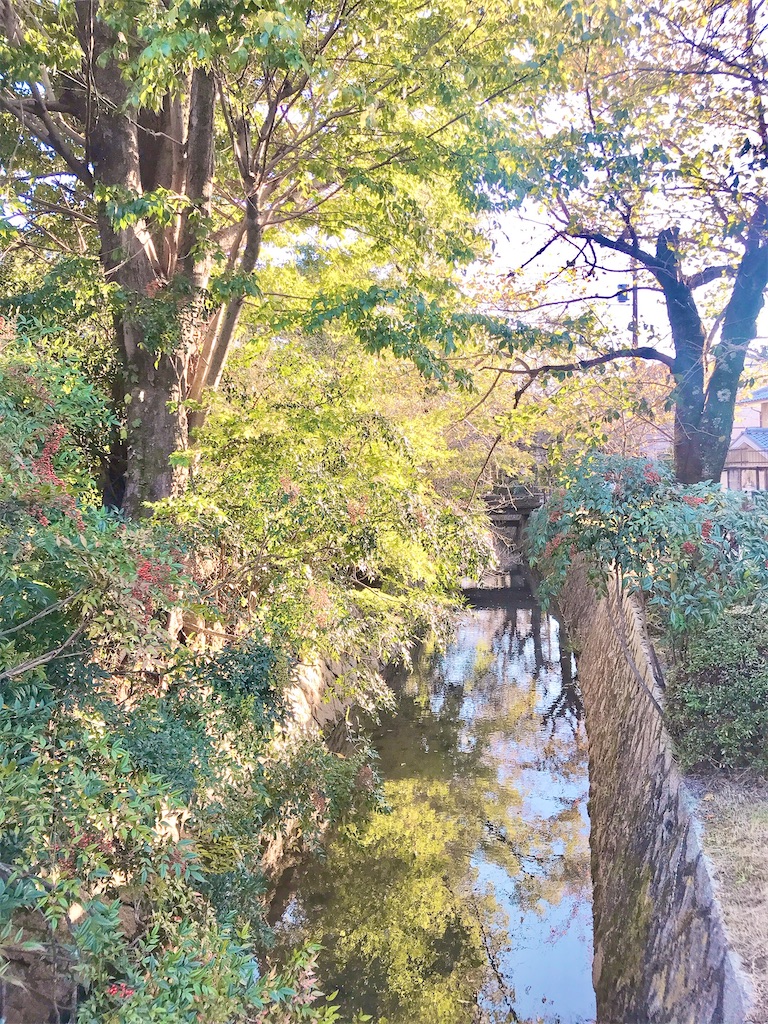 人生で一度　やりたいことをして生きる　アラフィフ