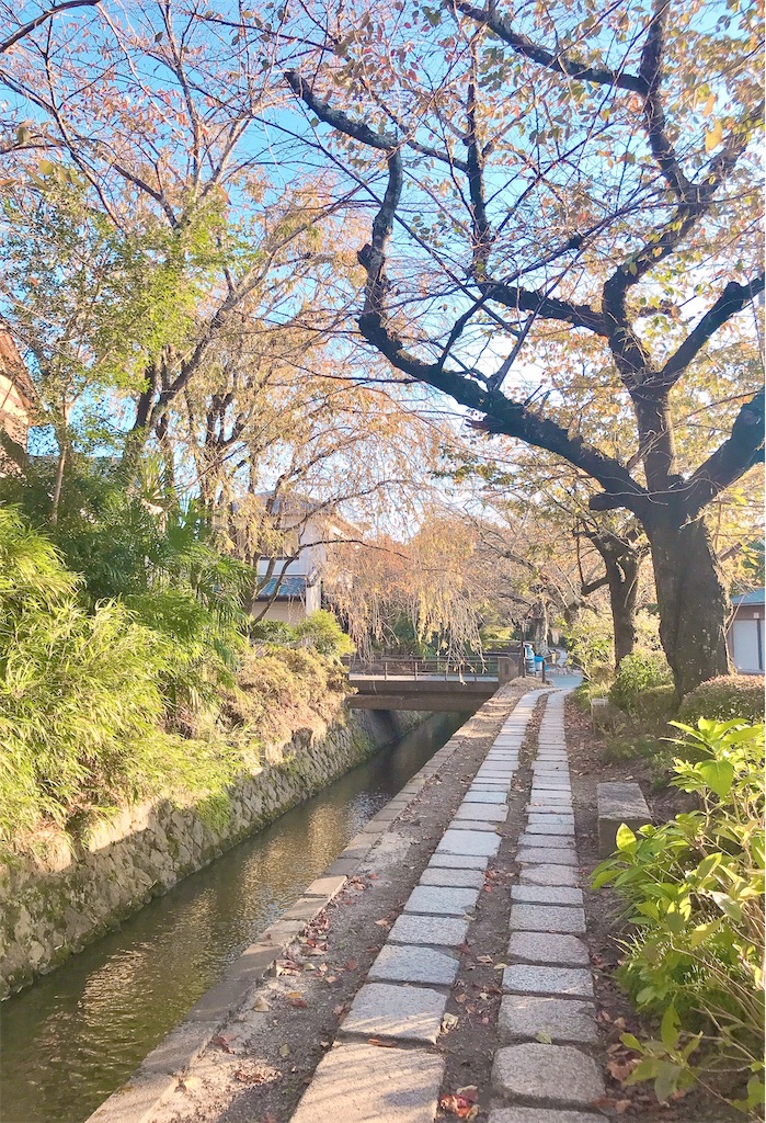 大人　一人暮らし　アラフィフ