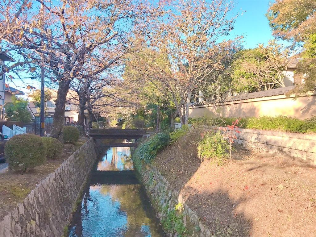 人生で一度　やりたいことをして生きる　アラフィフ