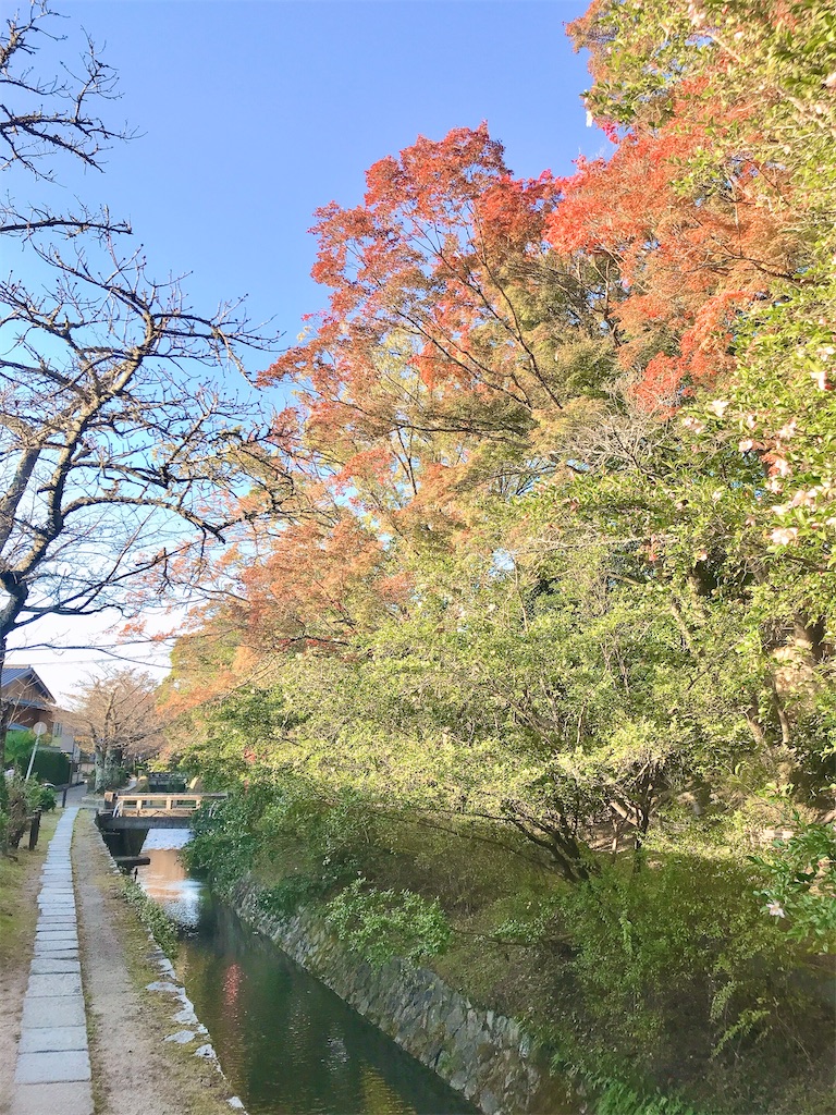 人生で一度　やりたいことをして生きる　アラフィフ