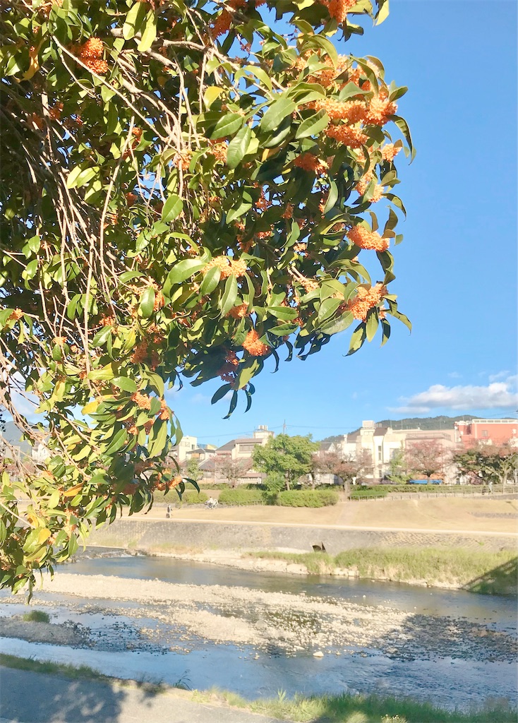 住みたい街で暮らす　シンプルライフ　やりたいこと　自由に生きる