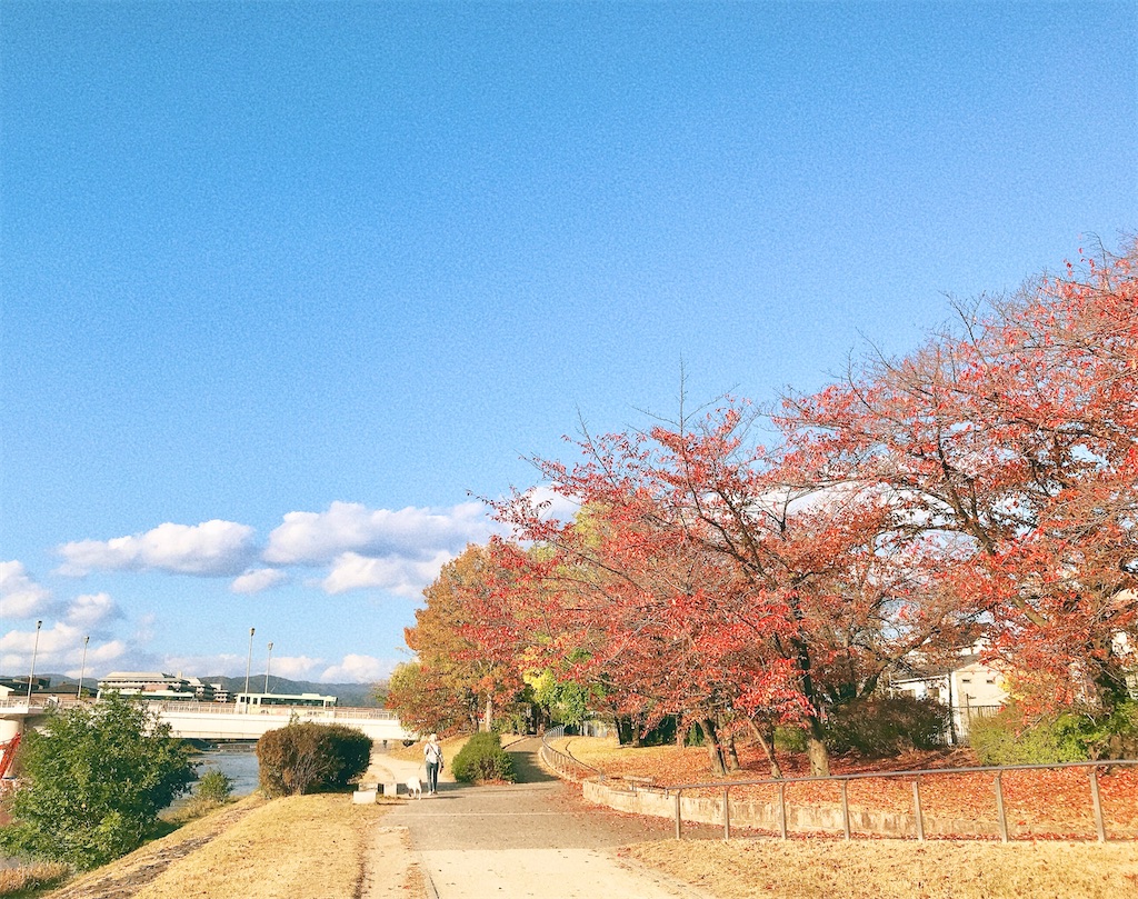 アラフィフ　一人暮らし　シンプルライフ