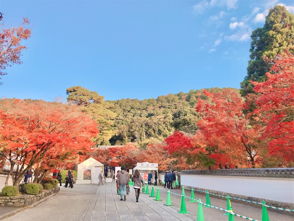 住みたい街で暮らす　シンプルライフ　やりたいこと　自由に生きる