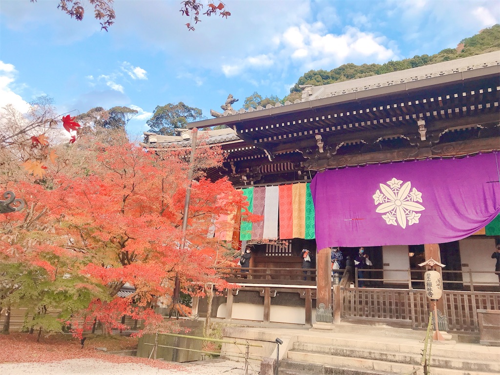 住みたい街で暮らす　シンプルライフ　やりたいこと　自由に生きる