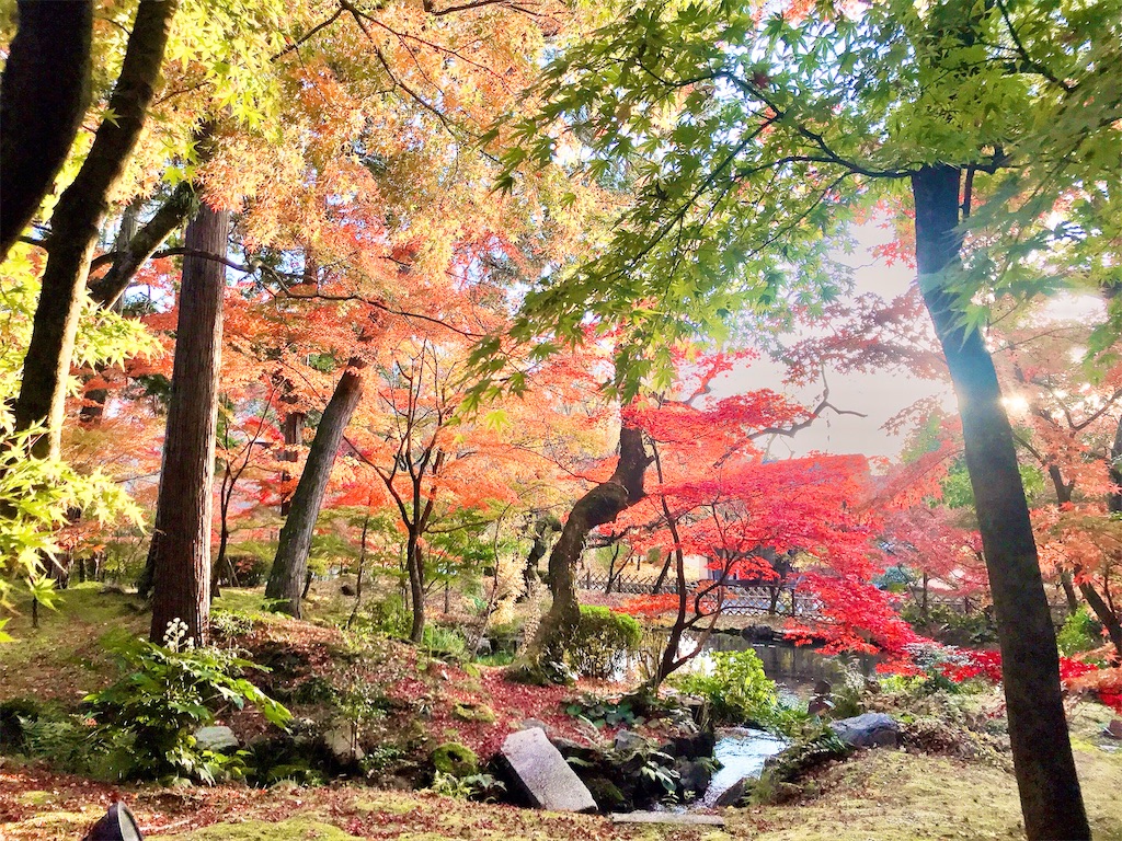 住みたい街で暮らす　シンプルライフ　やりたいこと　自由に生きる