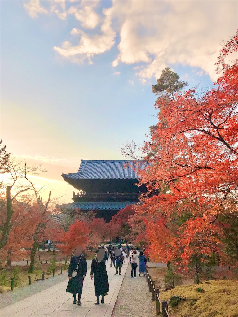 人生で一度　やりたいことをして生きる　アラフィフ