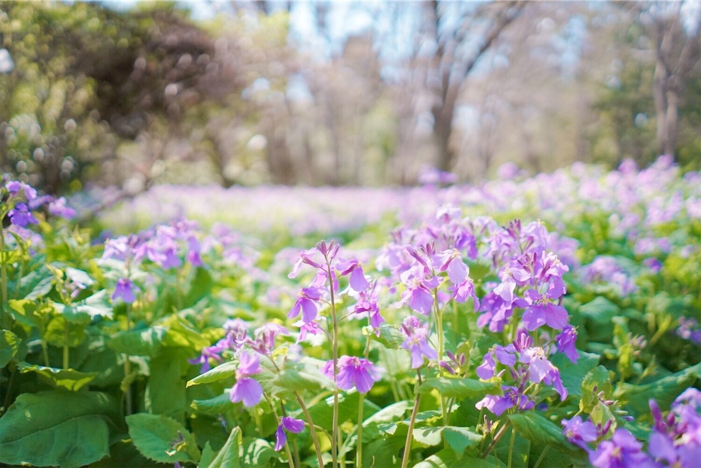 瞑想　潜在意識　波動　上げる　効果