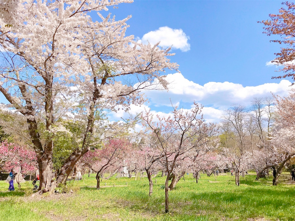 瞑想　潜在意識　波動　上げる　効果