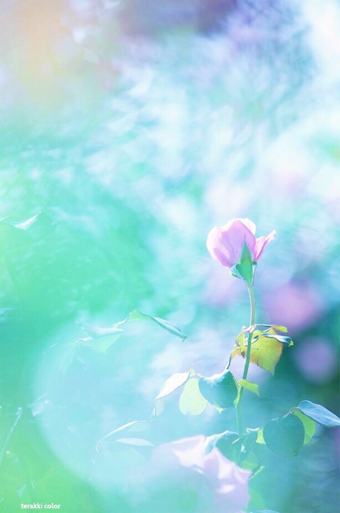 瞑想 潜在意識 波動 上げる 効果