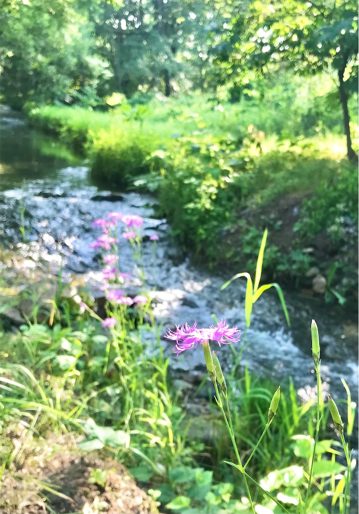 瞑想　潜在意識　波動　上げる　効果