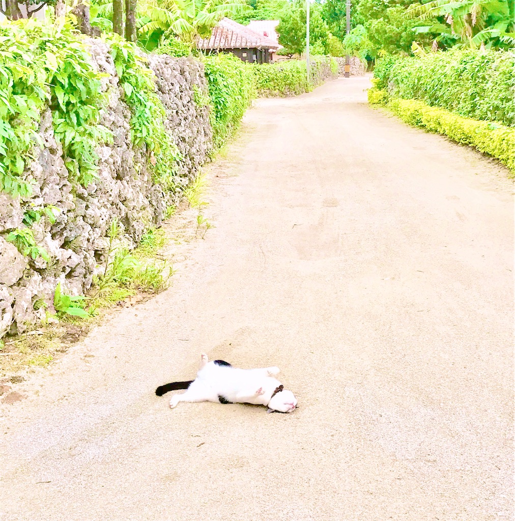 瞑想　潜在意識　波動　上げる　効果