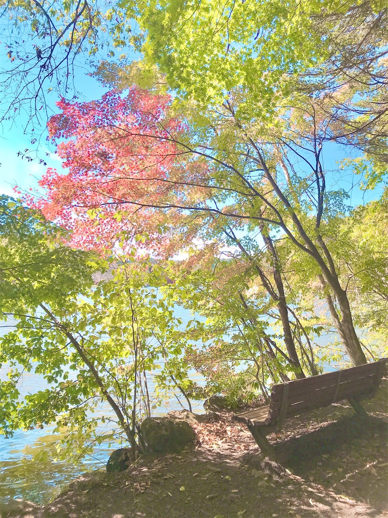 瞑想　潜在意識　波動　上げる　効果