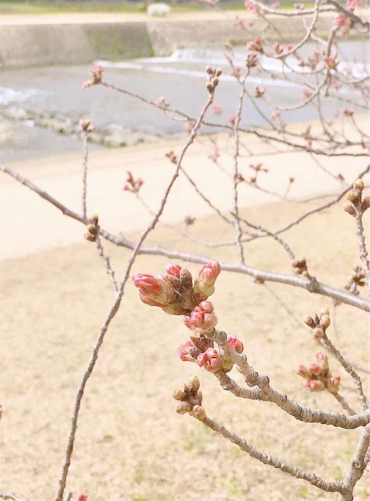 瞑想 潜在意識 波動 上げる 効果