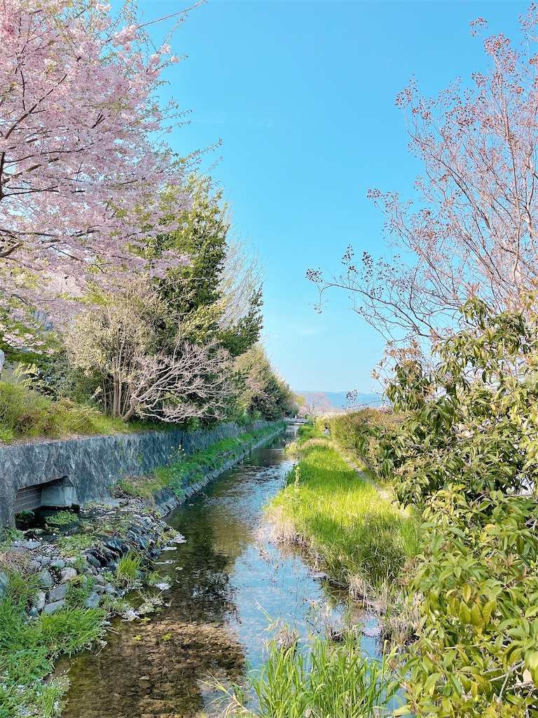 瞑想　潜在意識　波動　上げる　効果