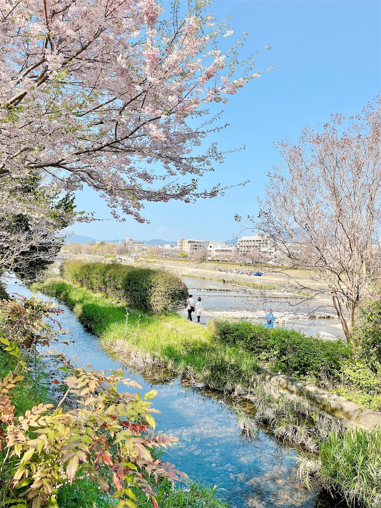 瞑想　潜在意識　波動　上げる　効果