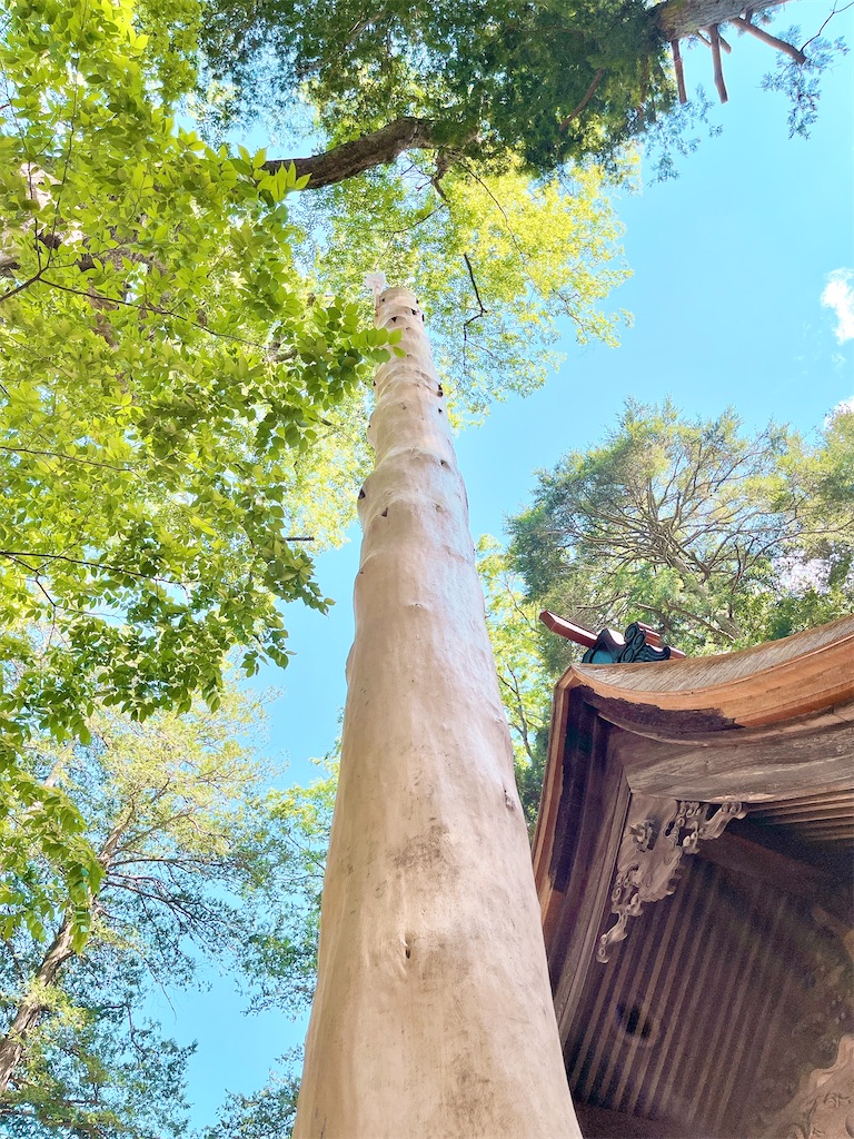 瞑想　潜在意識　波動　上げる　効果