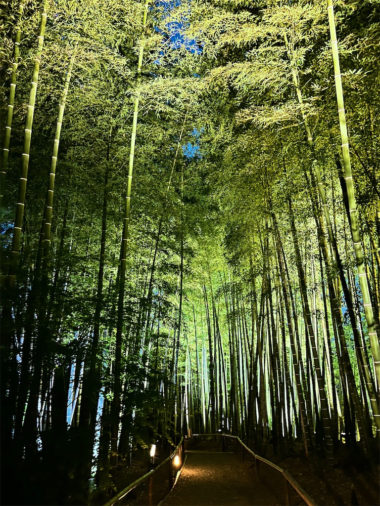 瞑想　潜在意識　波動　上げる　効果