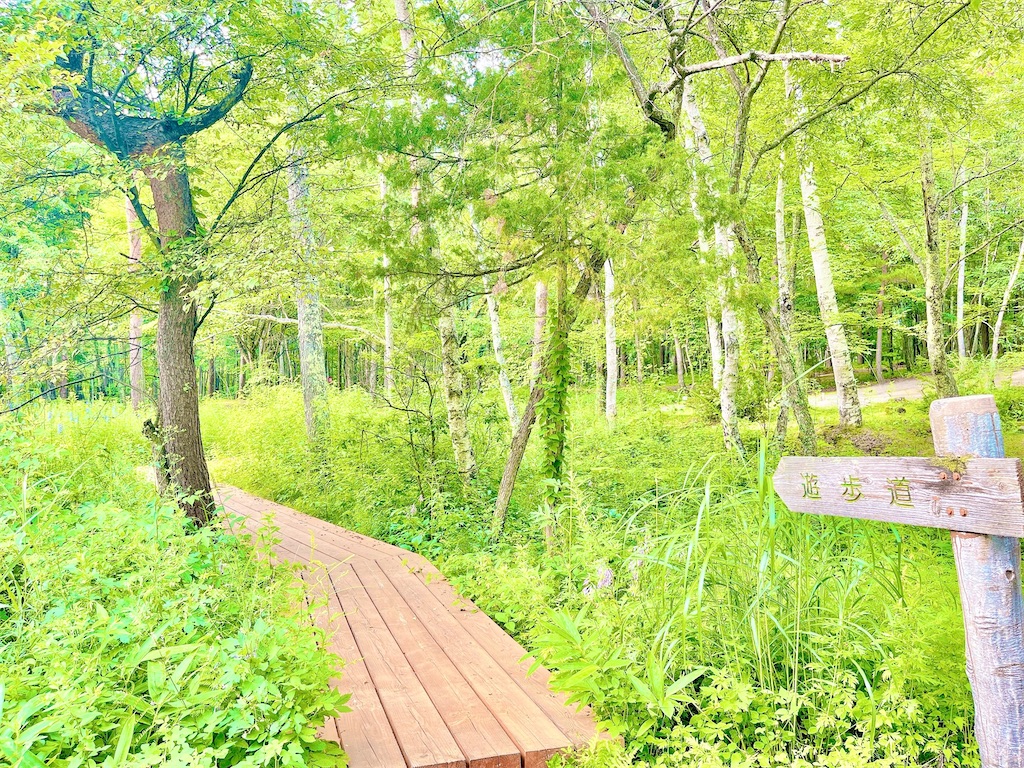 人生で一度 やりたいことをして生きる アラフィフ