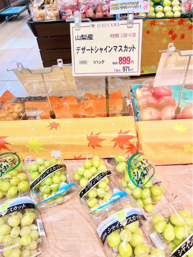 アラフィフ　一人暮らし　シンプルライフ　小さな暮らし