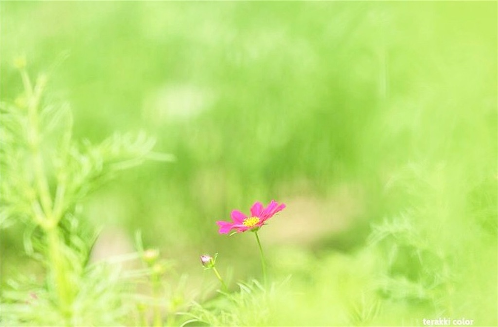 瞑想　潜在意識　波動　上げる　効果