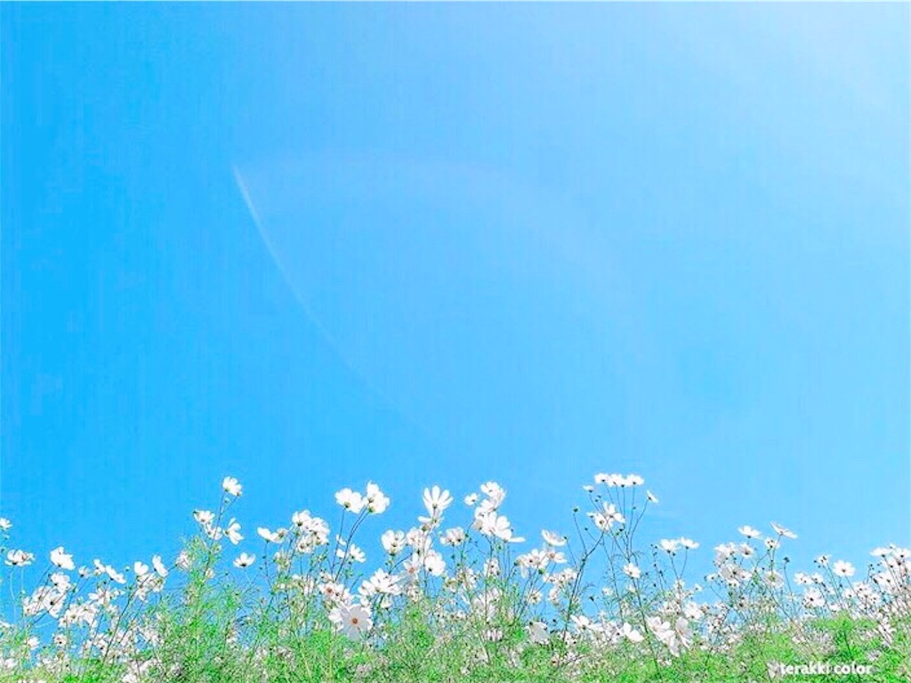 瞑想　潜在意識　波動　上げる　効果