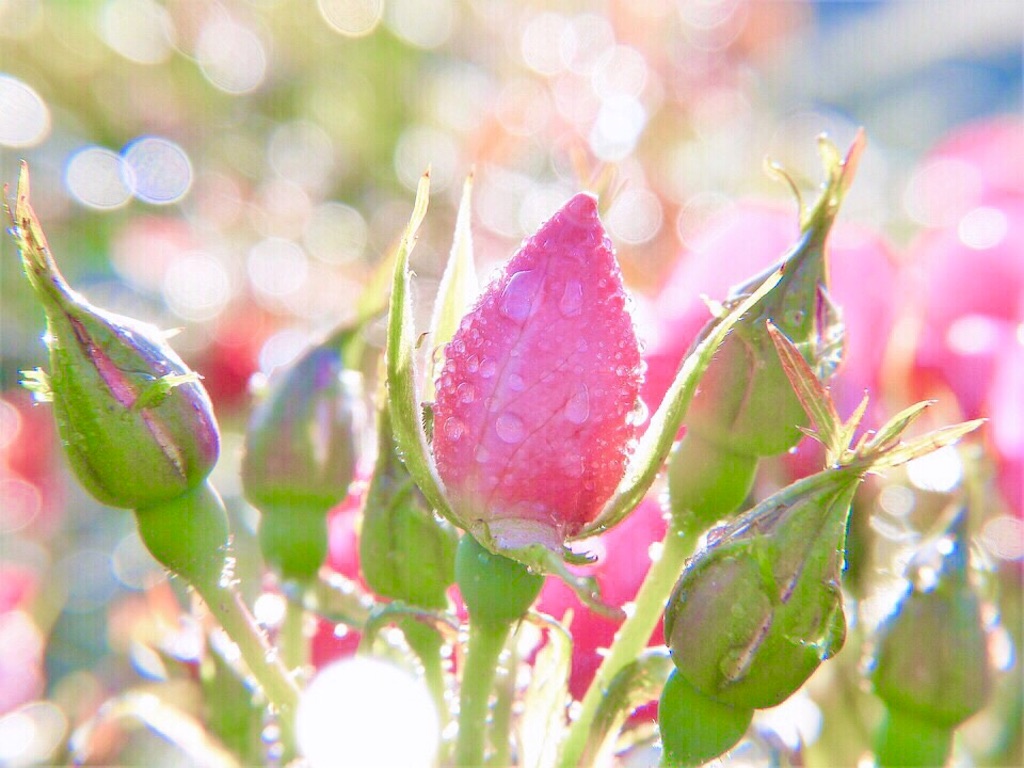 瞑想　潜在意識　波動　上げる　効果