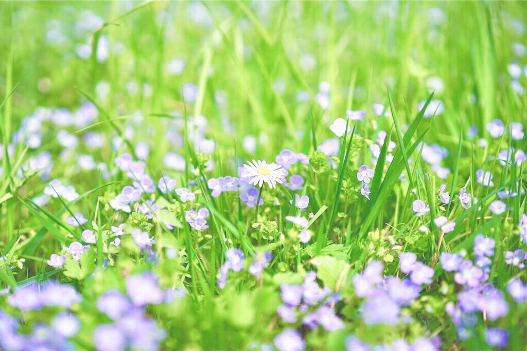 瞑想　潜在意識　波動　上げる　効果