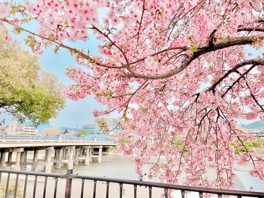 瞑想　潜在意識　波動　上げる　効果