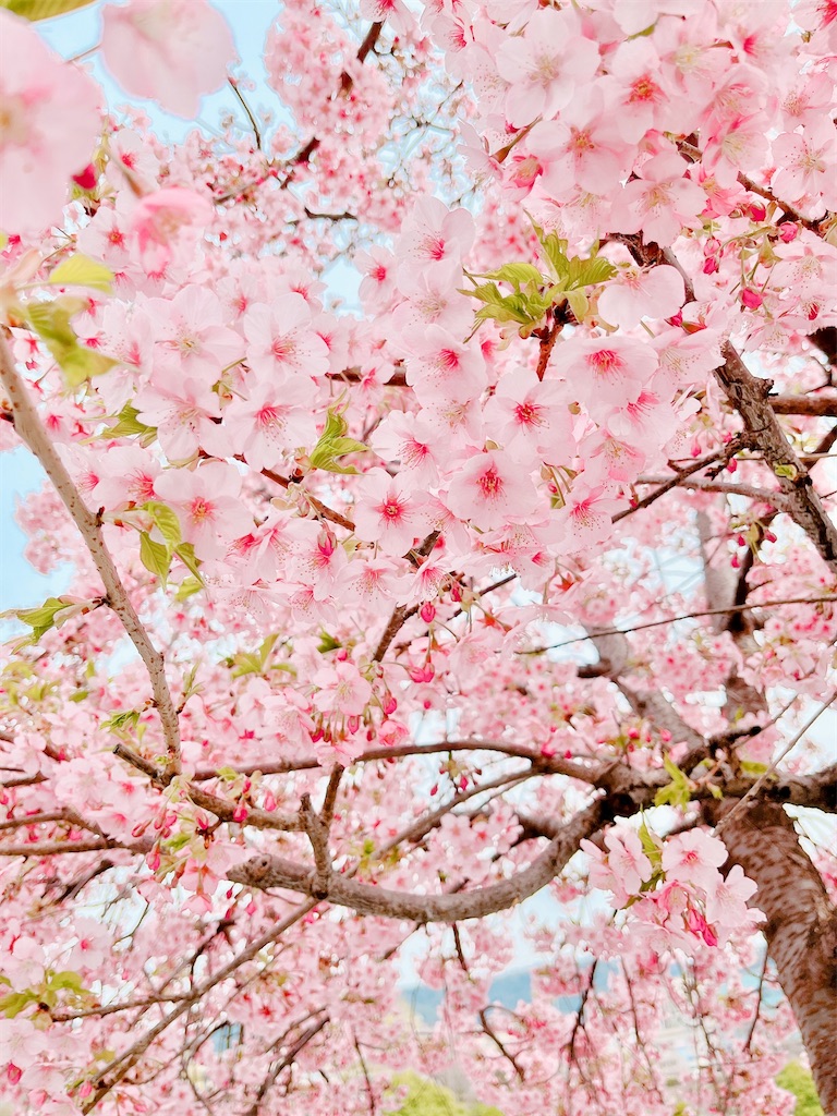 瞑想　潜在意識　波動　上げる　効果