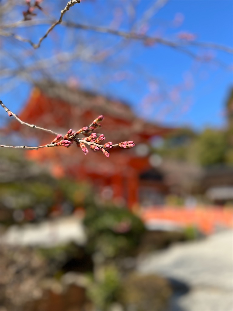 瞑想　潜在意識　波動　上げる　効果