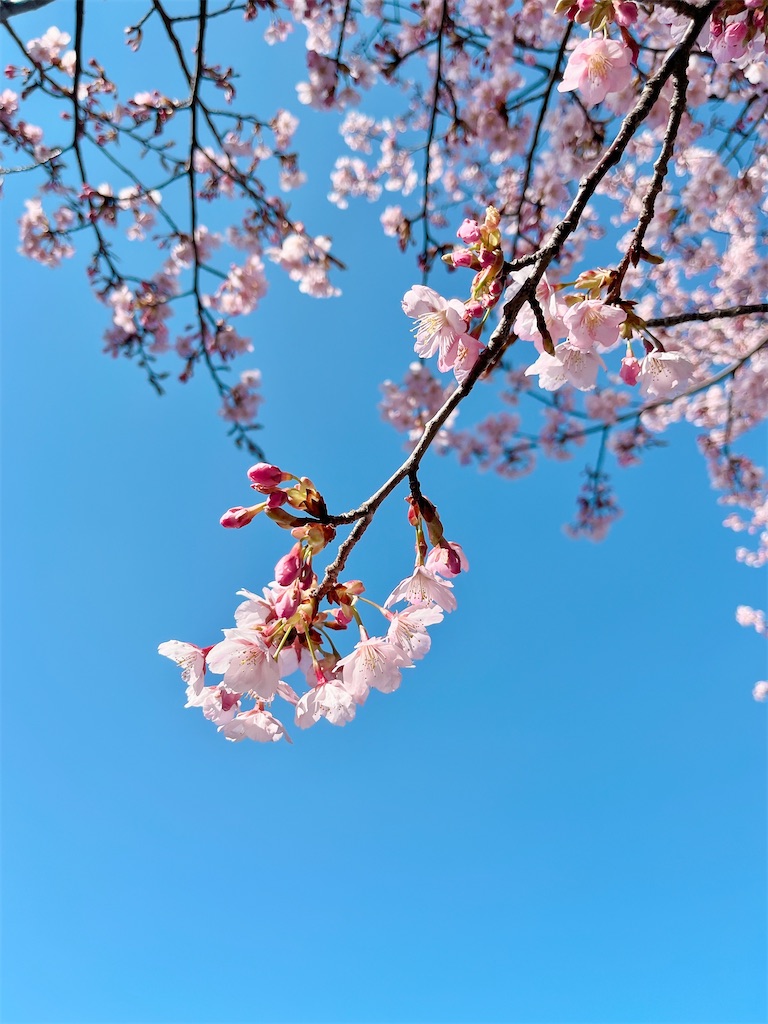 瞑想　潜在意識　波動　上げる　効果