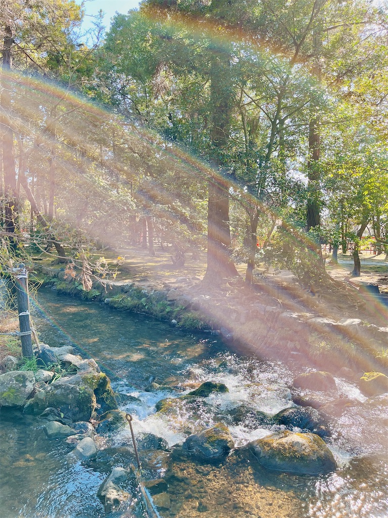 瞑想　潜在意識　波動　上げる　効果