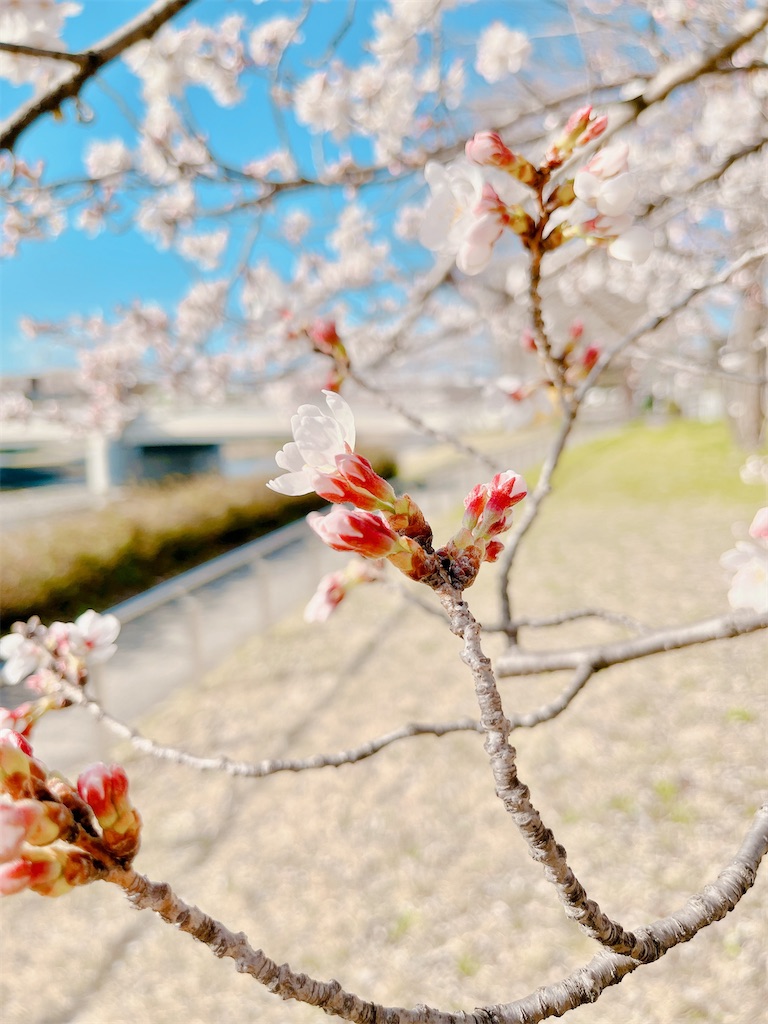 瞑想　潜在意識　波動　上げる　効果