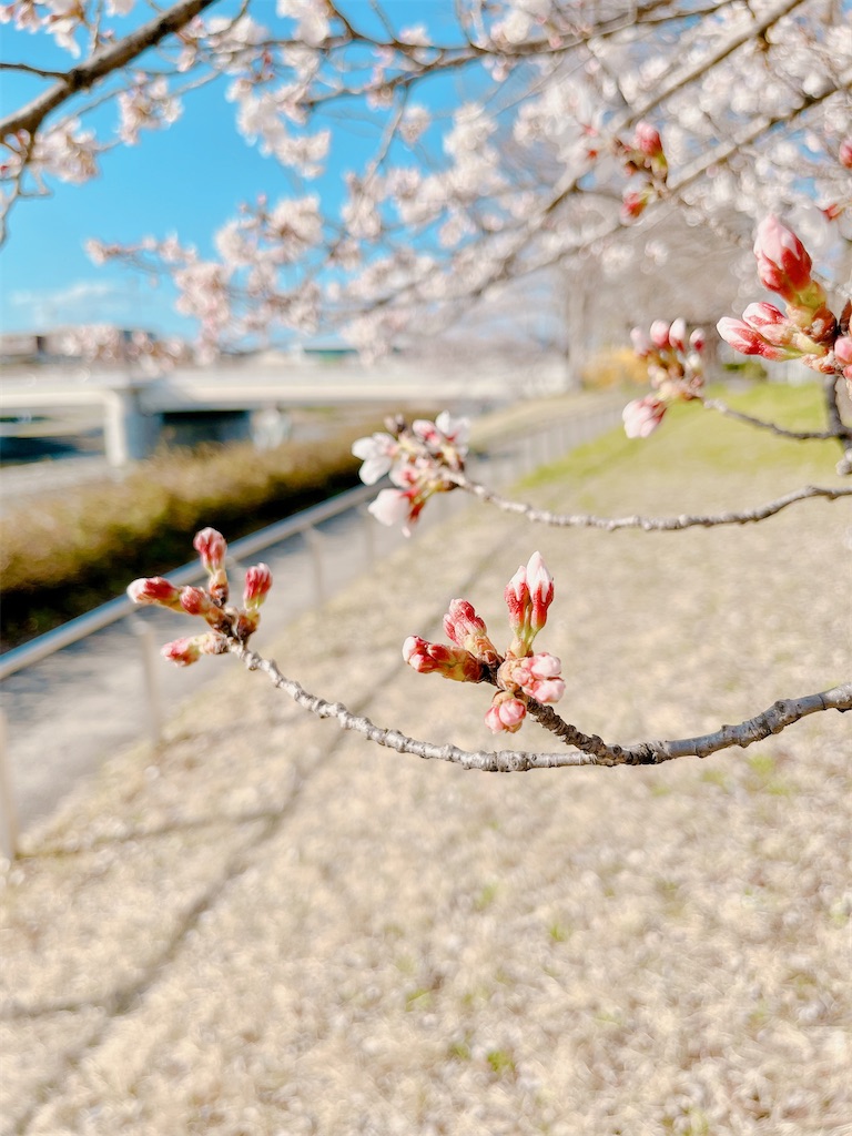 瞑想　潜在意識　波動　上げる　効果