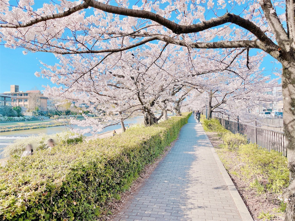 瞑想　潜在意識　波動　上げる　効果