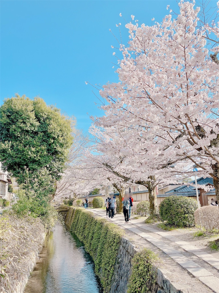 f:id:yuko-k-ami:20230329212212j:image