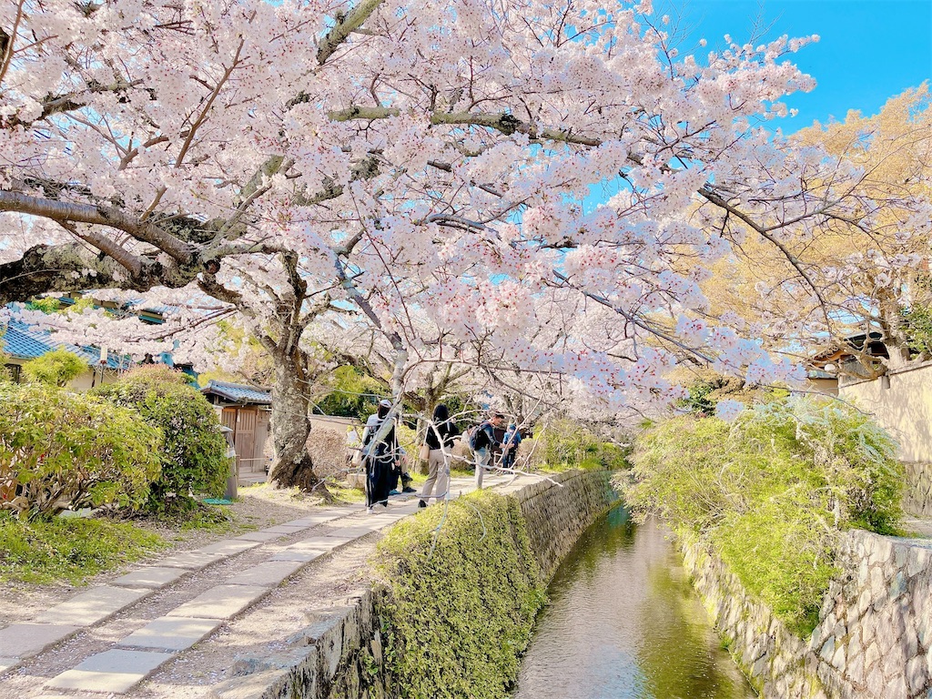 f:id:yuko-k-ami:20230329214050j:image