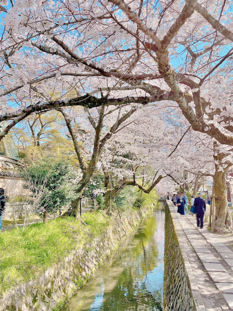 f:id:yuko-k-ami:20230329214202j:image