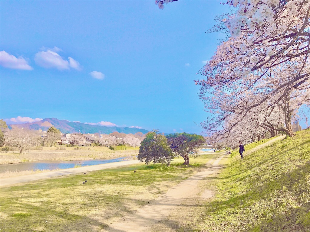 瞑想　潜在意識　波動　上げる　効果