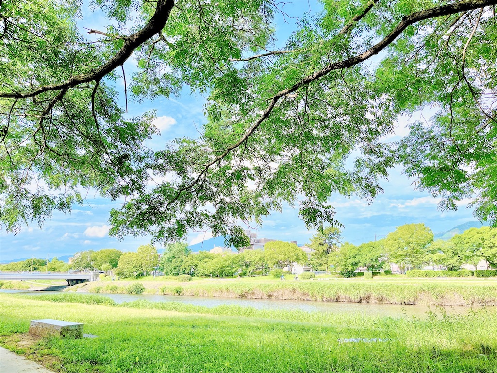 瞑想　潜在意識　波動　上げる　効果