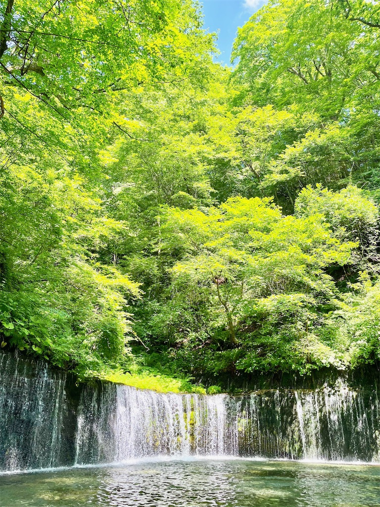 瞑想 潜在意識 波動 上げる 効果